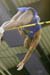 holzdeppe_raphael_004
